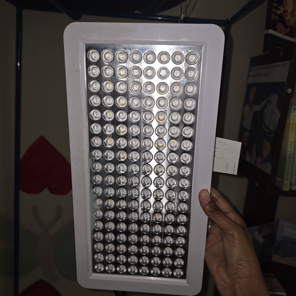 Grow Light For Indoor Plants